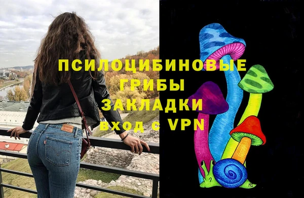 a pvp Аркадак