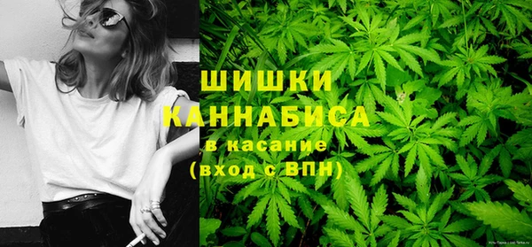 крисы Нея
