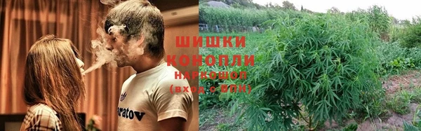 a pvp Аркадак